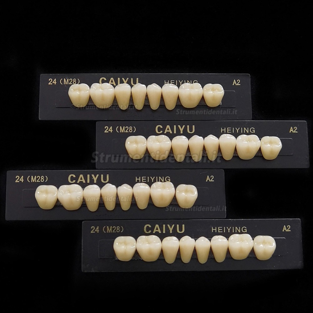 Protesi in resina polimerica sintetica acrilica Caiyu Heiying (denti posteriori superiori/inferiori)